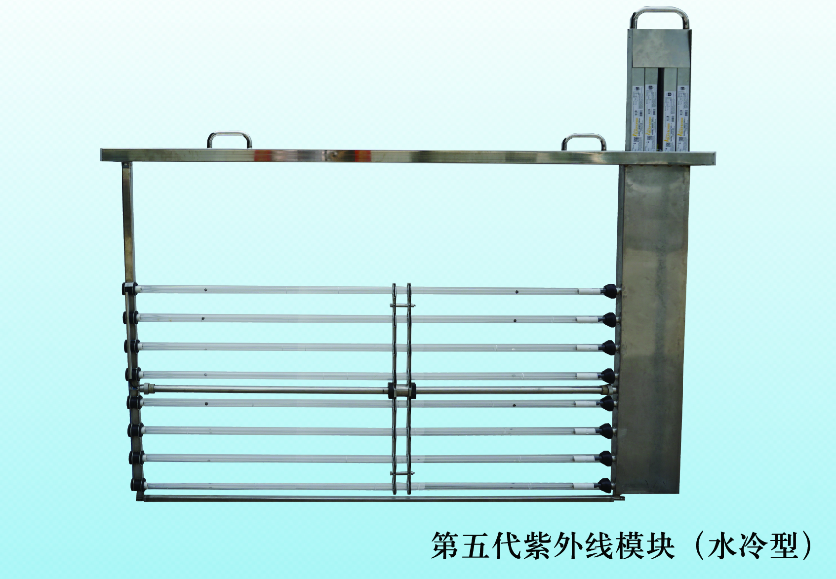 体育app网页版登录