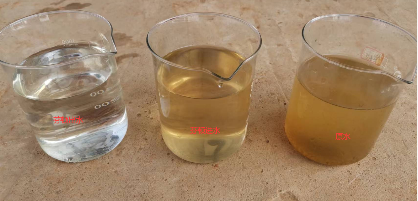 体育app网页版登录