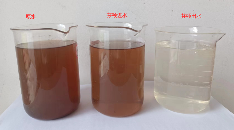 体育app网页版登录