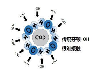 体育app网页版登录