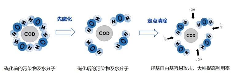 体育app网页版登录
