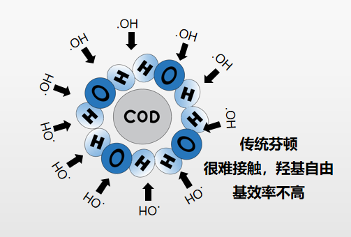 体育app网页版登录