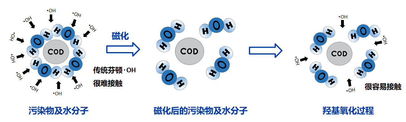 体育app网页版登录